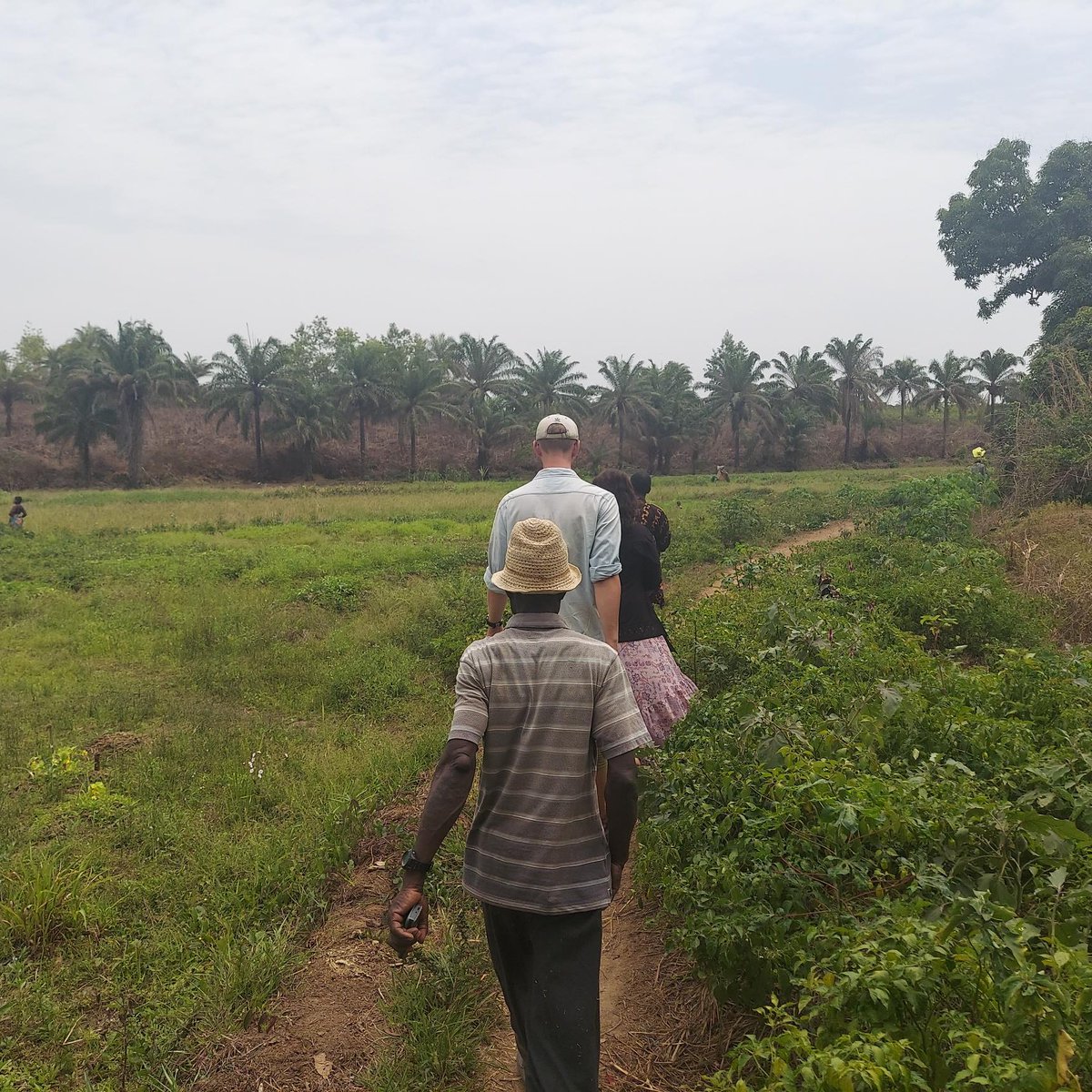 Joyeuse #JournéedelaTerre ! Les volontaires du Corps de la Paix en Guinée travaillent avec leurs homologues pour promouvoir la conservation de l'environnement et la durabilité dans leurs communautés d'accueil.

Comment participez-vous à cette Journée de la Terre ?