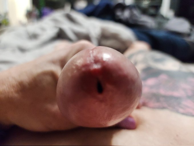 He wanted to say 👋 https://t.co/UDYWbQOHgX