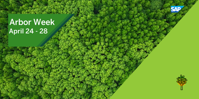 Activity makes for a stronger #SAPCommunity. This week, activity will also make for a greener planet! SAP will plant a tree for every active contribution. Our goal is to reach 20,000 trees - 1,000 for every year of SAP's 20th anniversary - so we're counting on you! #arborday