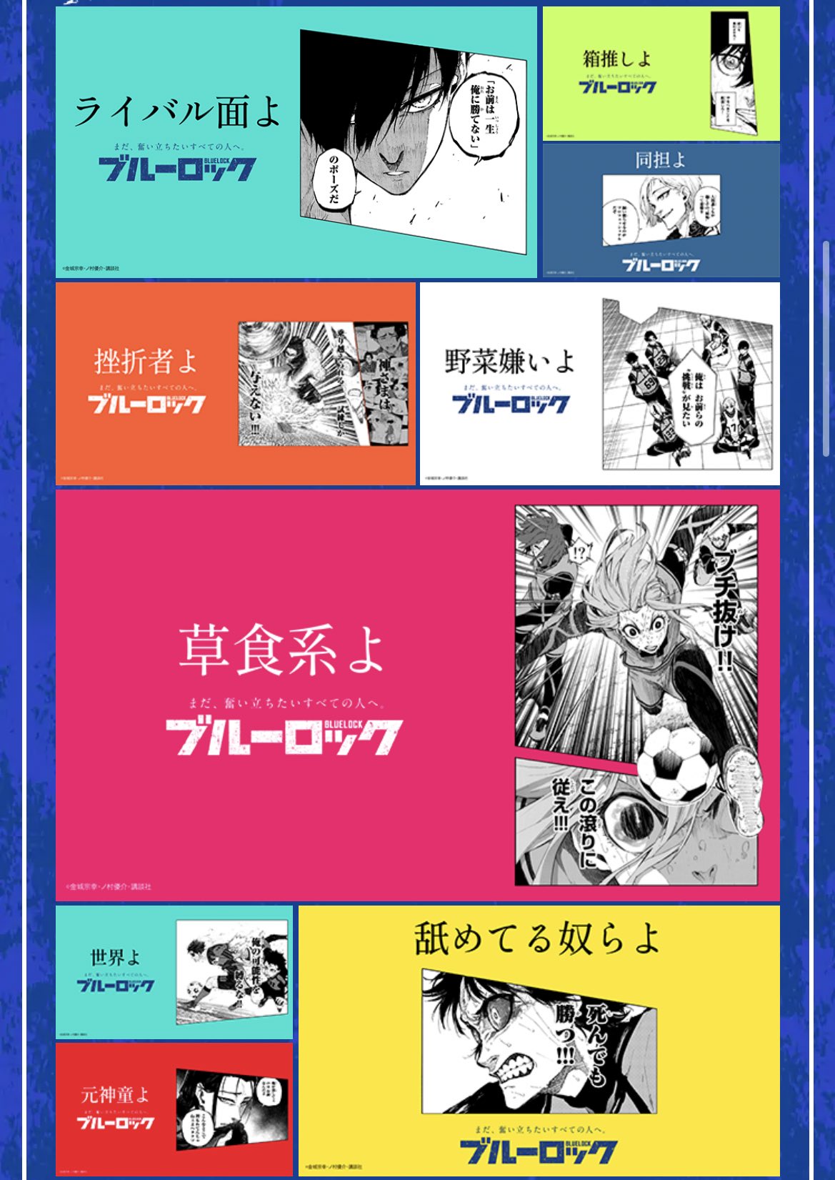 Amazon.co.jp: 【お徳用 5 セット】 ブルーキーネット プロの