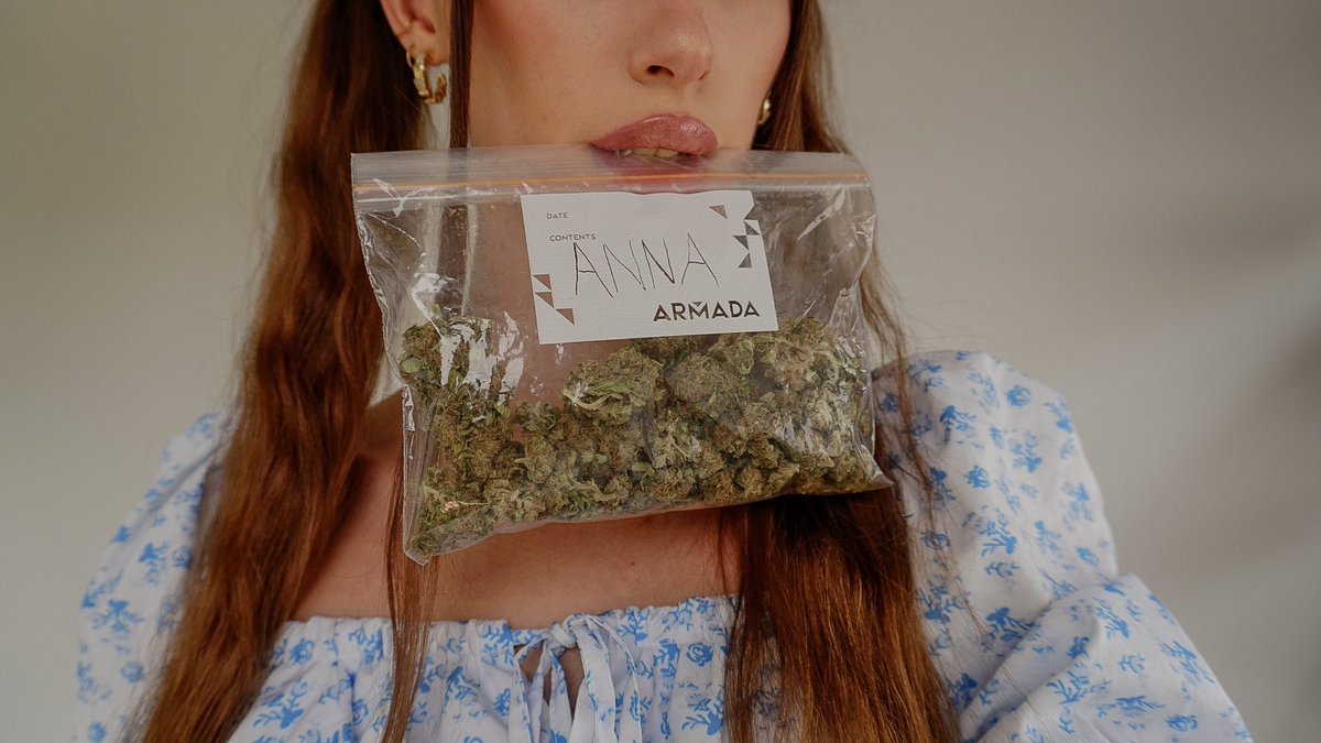 HerHighnessTh's tweet photo. Got a bag with my name on it ๐๐ Bruce banner ๐ฅฆโจ
#Mmemberville #onlygrams #stonergirl https://t.co/6o7MxBa6bC