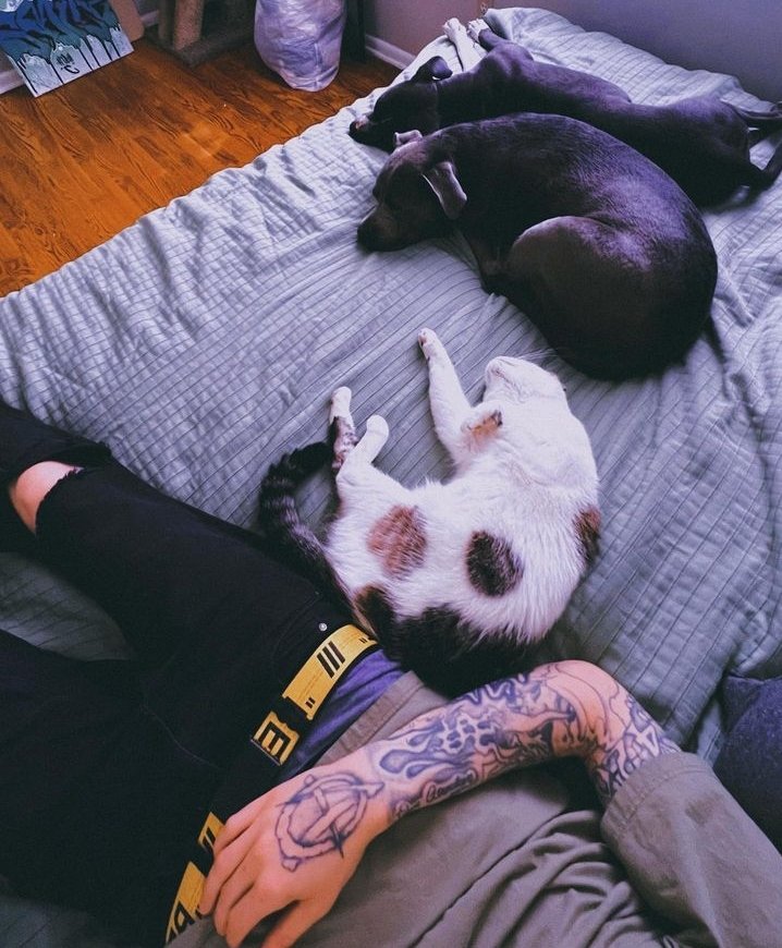 reallyhighc's tweet image. I was getting kinda used to being someone you loved.. 💔