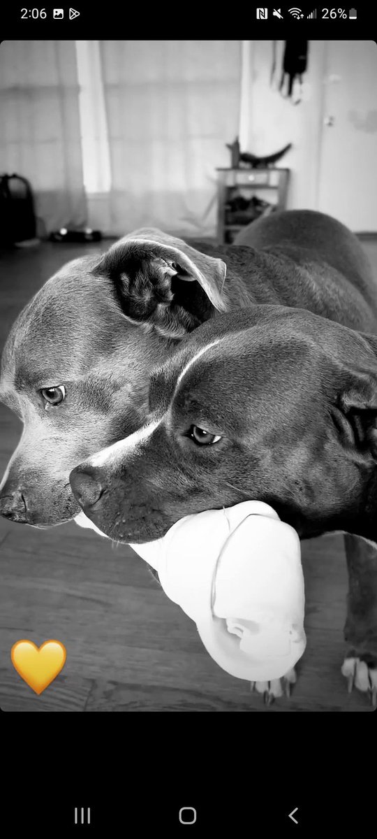 reallyhighc's tweet image. I was getting kinda used to being someone you loved.. 💔