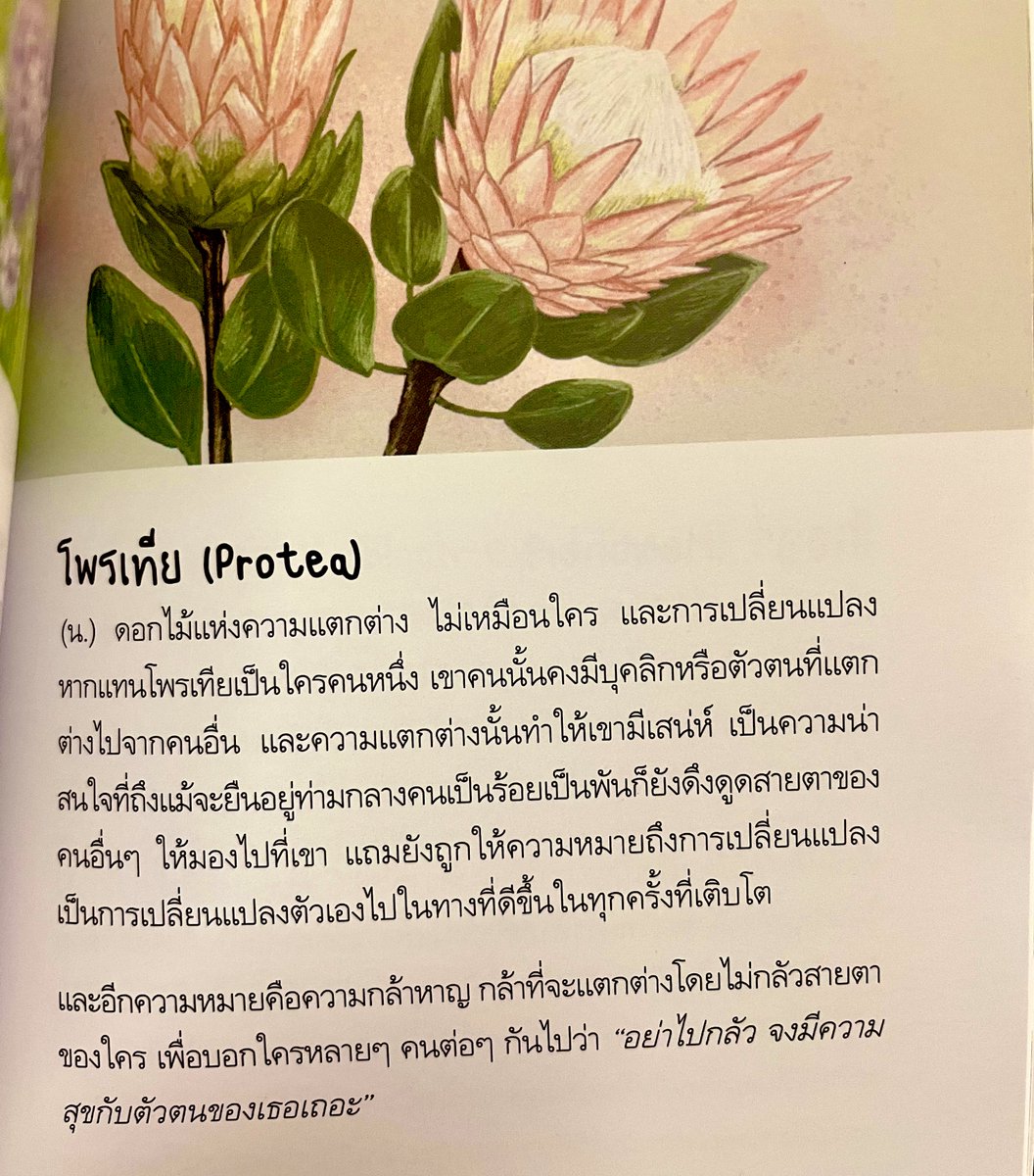 klinnangsue's tweet photo. โพรเทีย : https://t.co/gQZASZmM3L