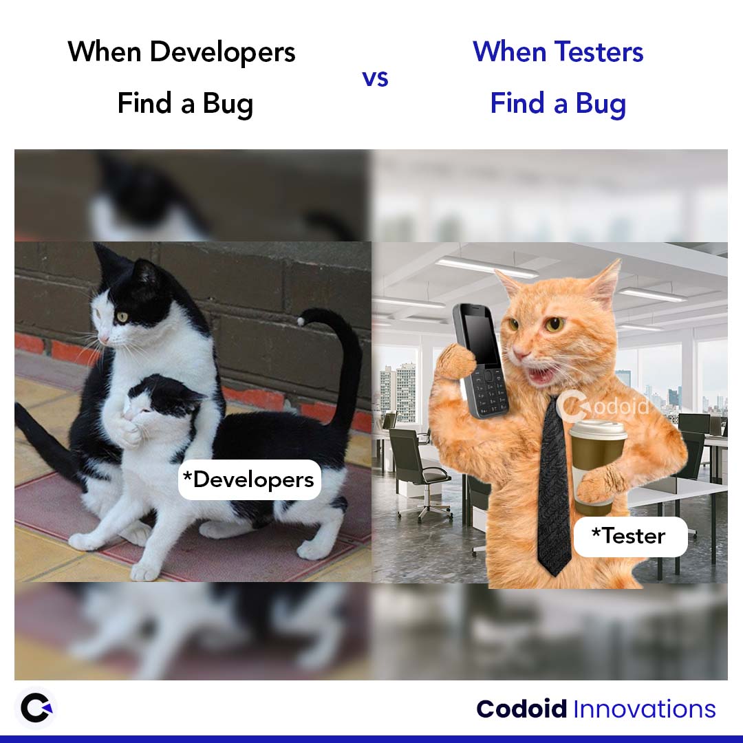 codoid's tweet image. When Developers find a bug vs Testers find a bug

#codoid #codoidmemes #softwaretestingmemes #qamemes #programmingmemes