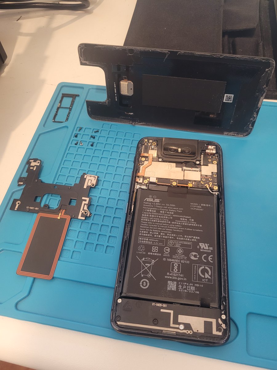 𝕎oshmistro 🐀 tweet media