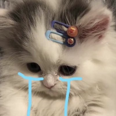 baby tweet media
