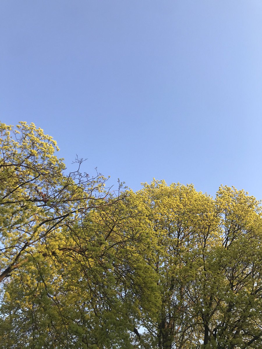 eggcroissant's tweet image. 