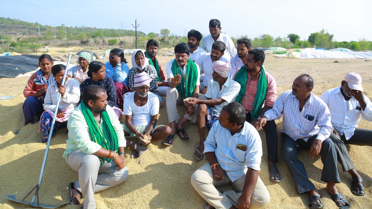 DubbakaDNR's tweet photo. ఈరోజు నల్లగొండ నియోజక వర్గంలో కంచనపల్లి ఐకెపి సెంటర్లు అకాల వర్షానికి తలచిన పరిశీలించడం జరిగింది అకాల వర్షానికి తడిచిన ధాన్యాన్ని ప్రభుత్వం పూర్తి బాధ్యత వహిస్తూ వెంట��ే పండించిన కల్పించి ప్రభుత్వం కొనుగోలు చేయాలని రైతులకు అండదండగా నిలవాలని డిమాండ్ చేయడం జరిగింది https://t.co/smm0W4rplW