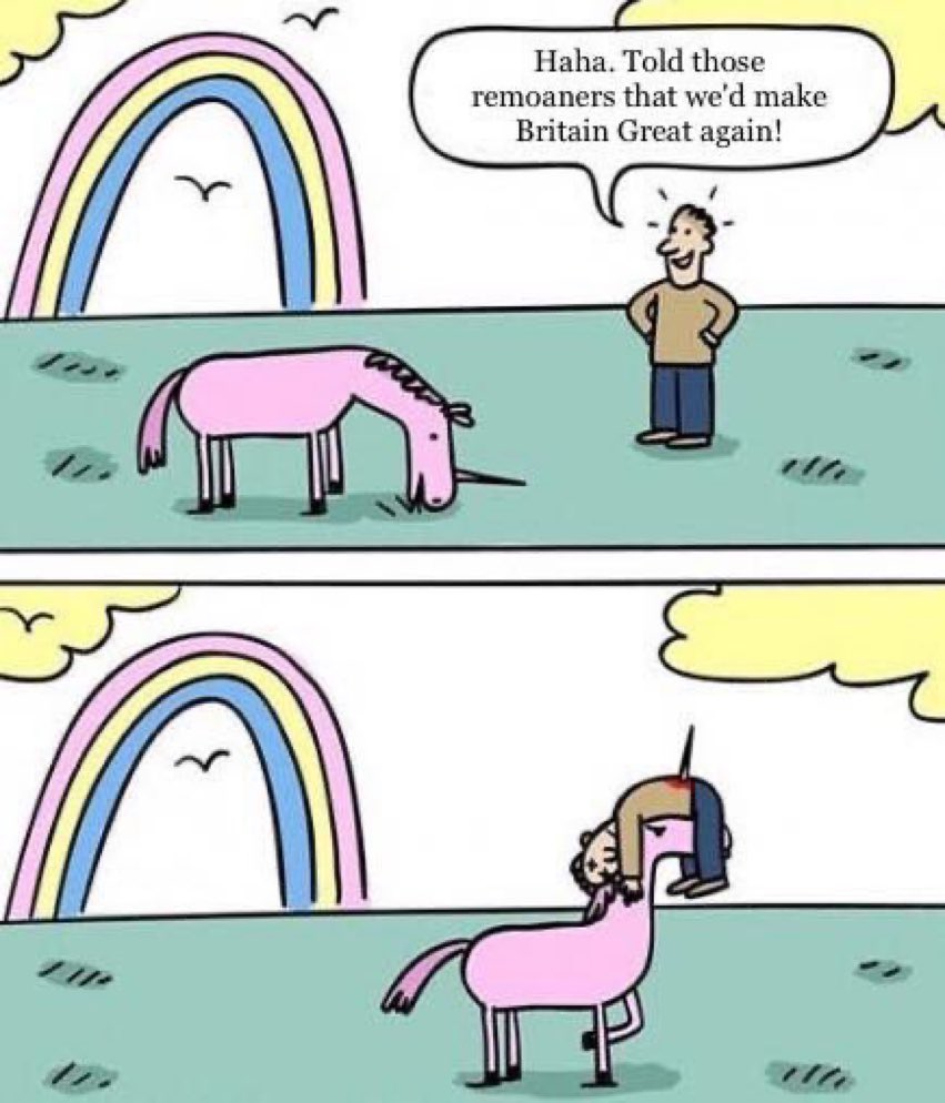 #unicornkingdom