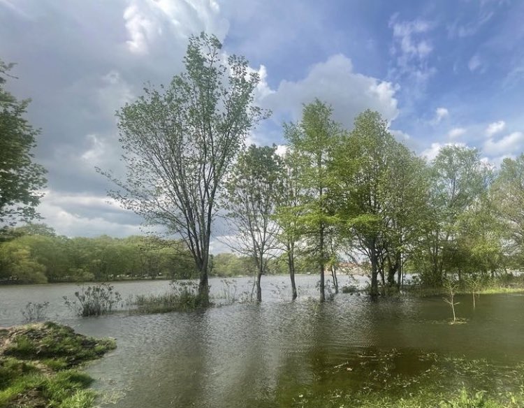 Breaking news from <a href="/FDRpark/">FDR Park (The Lakes)</a>: epic incompetence from <a href="/APConstruction_/">A.P. Construction, Inc.</a> (the contractor hired by <a href="/PhilaParkandRec/">Philadelphia Parks & Recreation</a> and <a href="/PHLAirport/">PHLAirport</a>) led to massive flooding endangering animals, people and park users. We DEMAND a STOP WORK ORDER immediately.