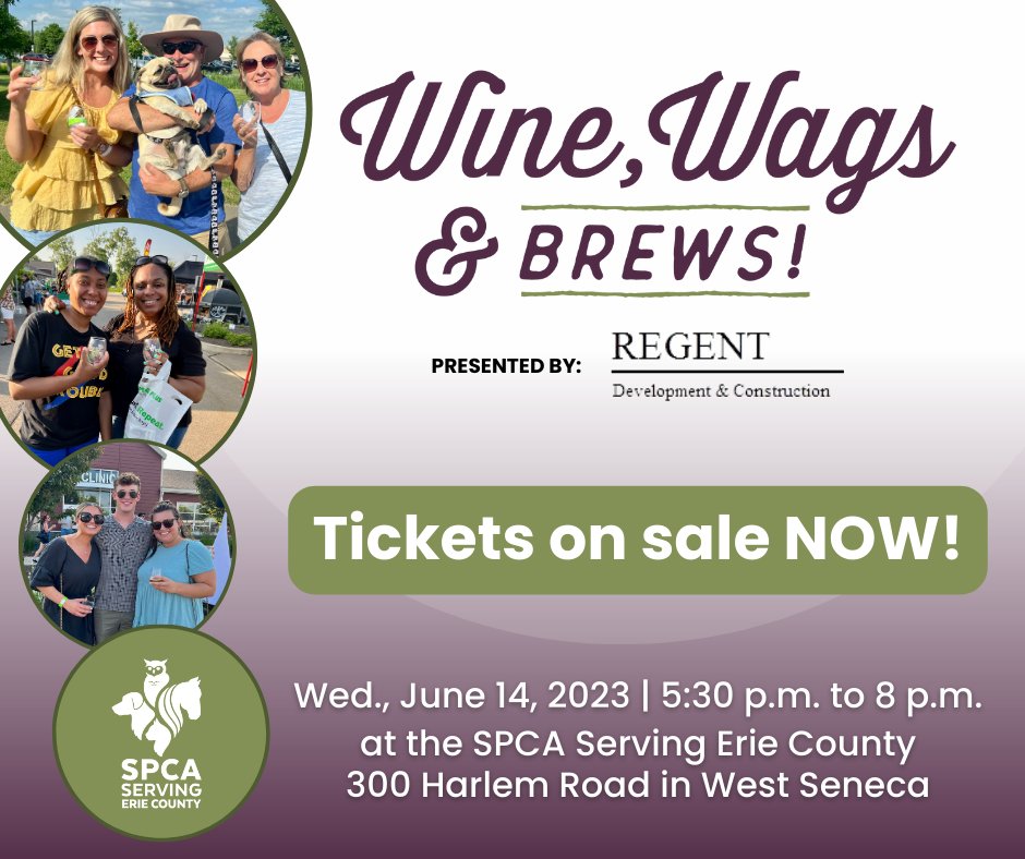 Erie County SPCA, NY tweet media