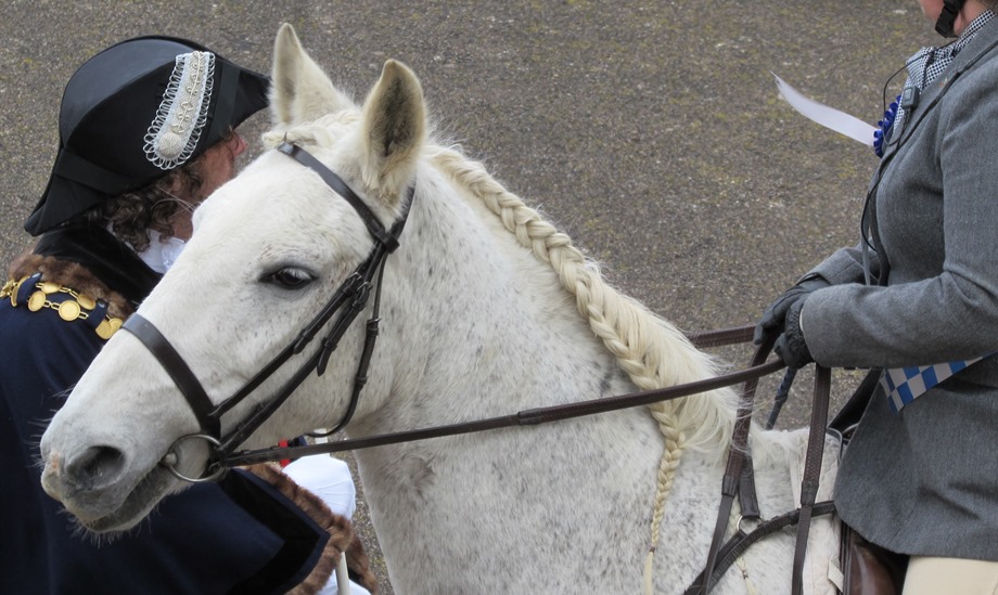 Berwick Museum & Art Gallery tweet media