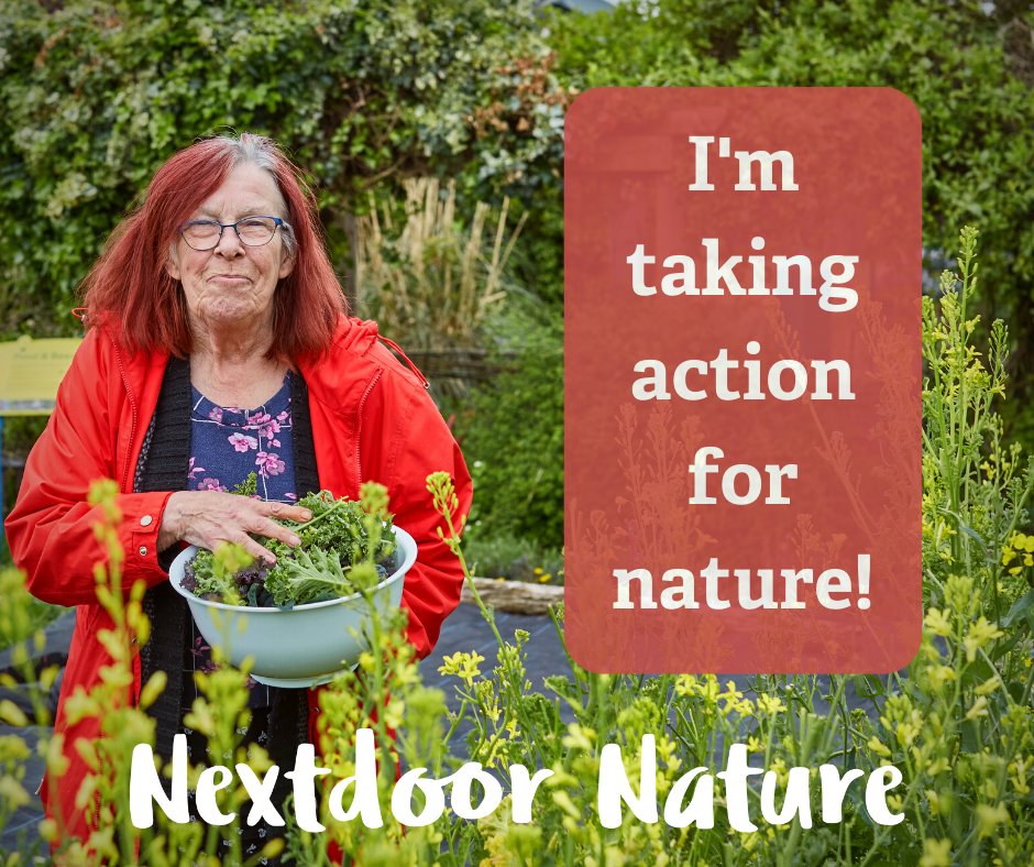 Want to grow your own food & flowers but are put off due to a lack of space, knowledge or money. We want to bring communities together to share skills, spaces and tools as a Community Growing Group.
Find out more: Leominster Library Sat 29 April; 10-2.
#NextdoorNature
