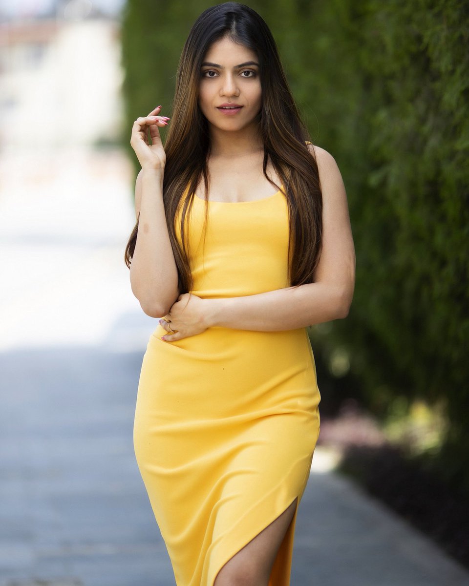MonishaSen15's tweet photo. Looking at my only competition in life .. 😉💛🌼

#mondaymood https://t.co/qgRVaAwD1p