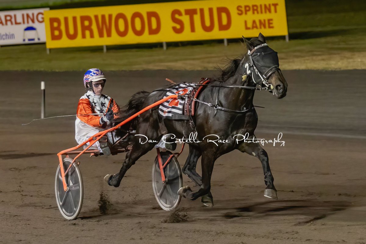 Dan Costello (@danracingwrap) on Twitter photo Dollarbill with <a href="/garrard_angus/">Angus Garrard</a> power away to win race 4 <a href="/redcliffe_hrc/">Redcliffe Harness Racing Club</a> for trainer Kay Crone Dollarbill with <a href="/garrard_angus/">Angus Garrard</a> power away to win race 4 <a href="/redcliffe_hrc/">Redcliffe Harness Racing Club</a> for trainer Kay Crone