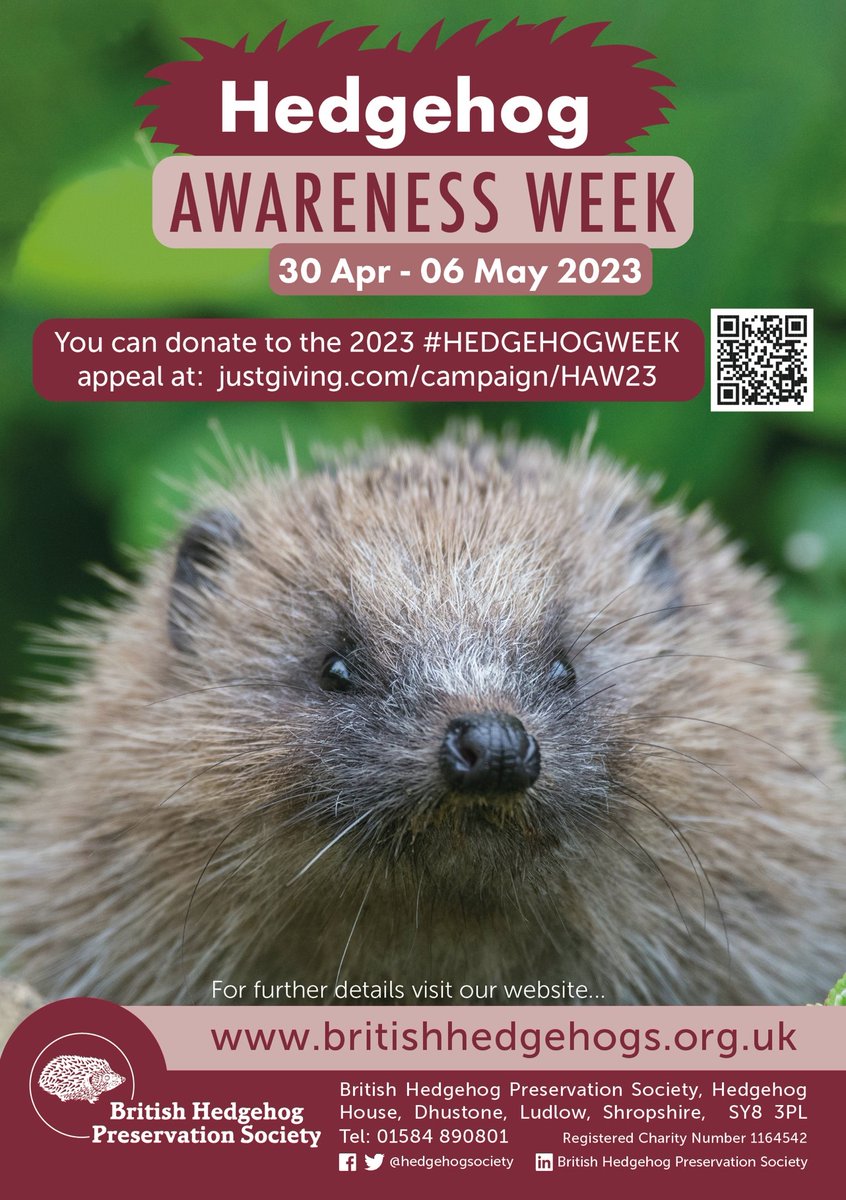 hedgehogsociety's tweet photo. 📢 Can you help us spread the word about #HedgehogWeek? 🦔

Could you organise a poster display or leaflet drop? Is there somewhere you could hand out flyers?

👉Email info@britishhedgehogs.org.ukwith details of what you’d like posted and where to send them! #MondayMotivation https://t.co/Sc0ki6UT3C