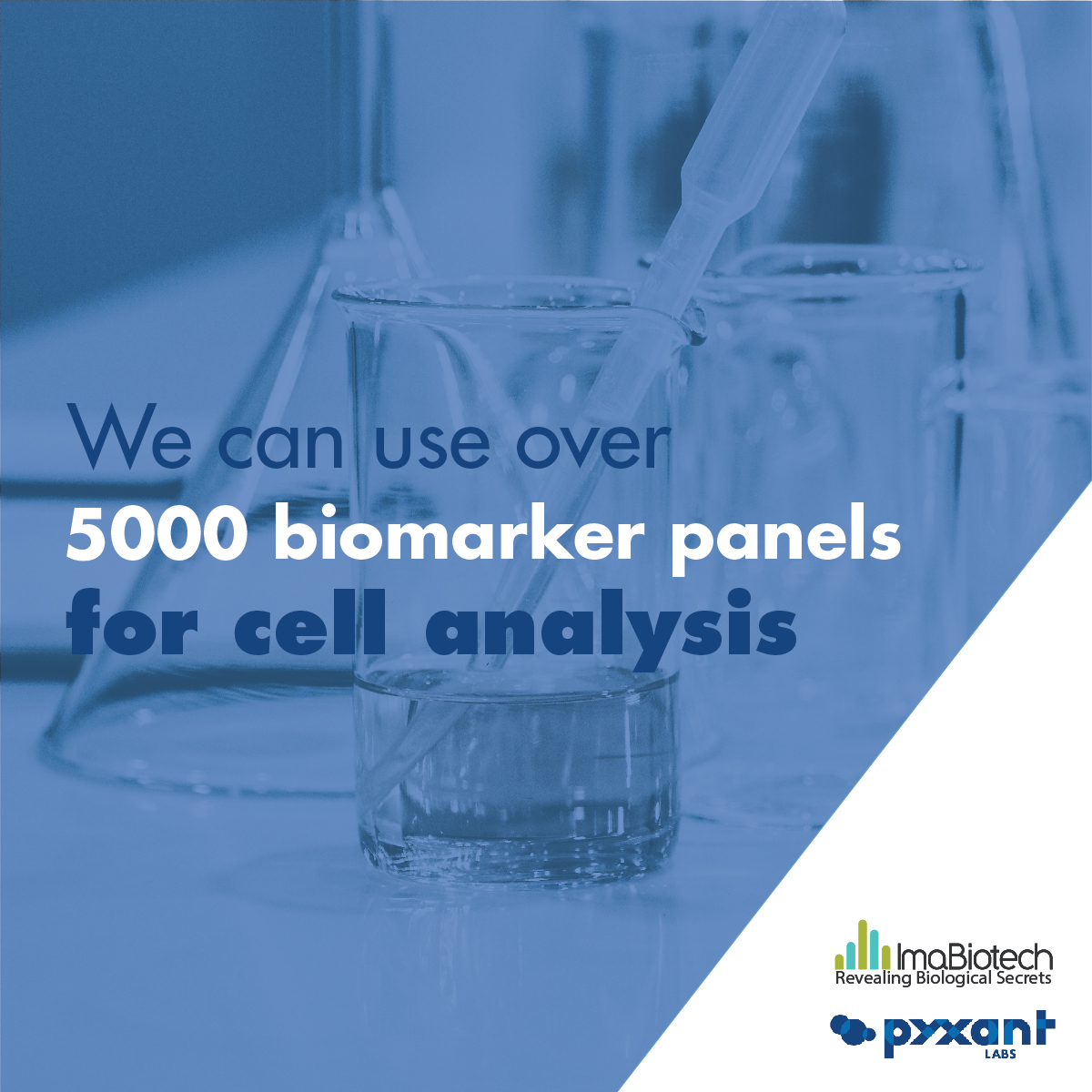 Contact us here to learn how to leverage spatial biology within drug development: imabiotech.com/contact-imabio… #bioanalytical #pharma #spatialbiology #biotech #pharmaceuticals #science #molecule #biopharma #cro #biomarker