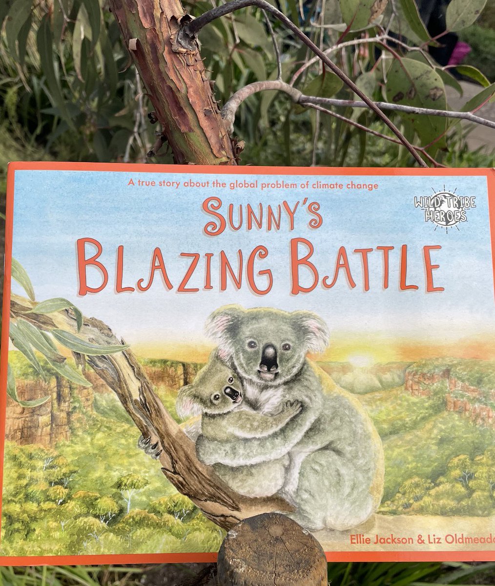 Always lovely to hear that my books are loved so much! Thank you 😊🐨 “I had a look at your books and I can’t believe it did you write Sunny’s Blazing Battle? That’s my daughter’s all time favourite book and she doesn’t go anywhere on holiday or to grandparents without it.”