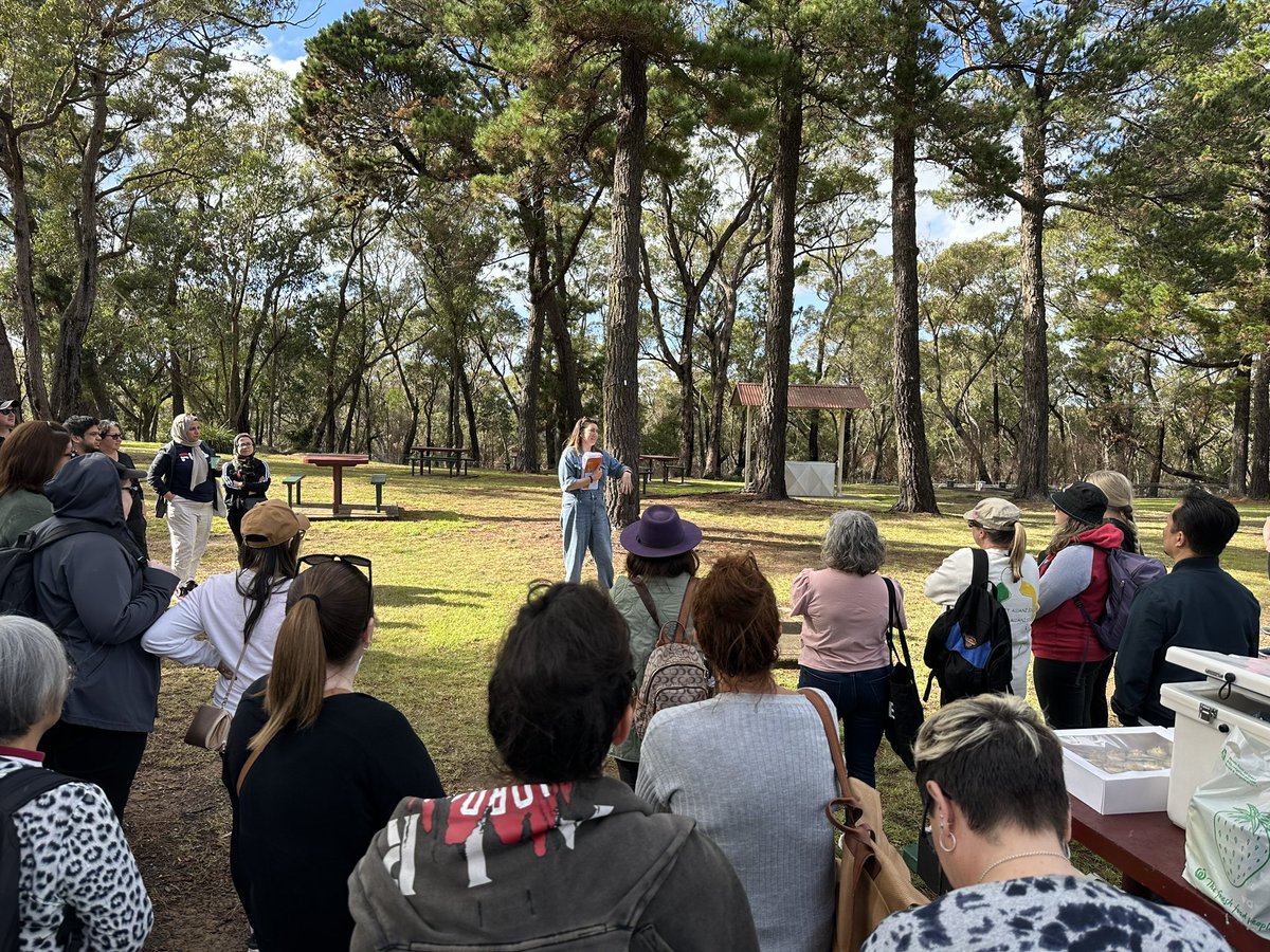 Macquarie Fields High School tweet media