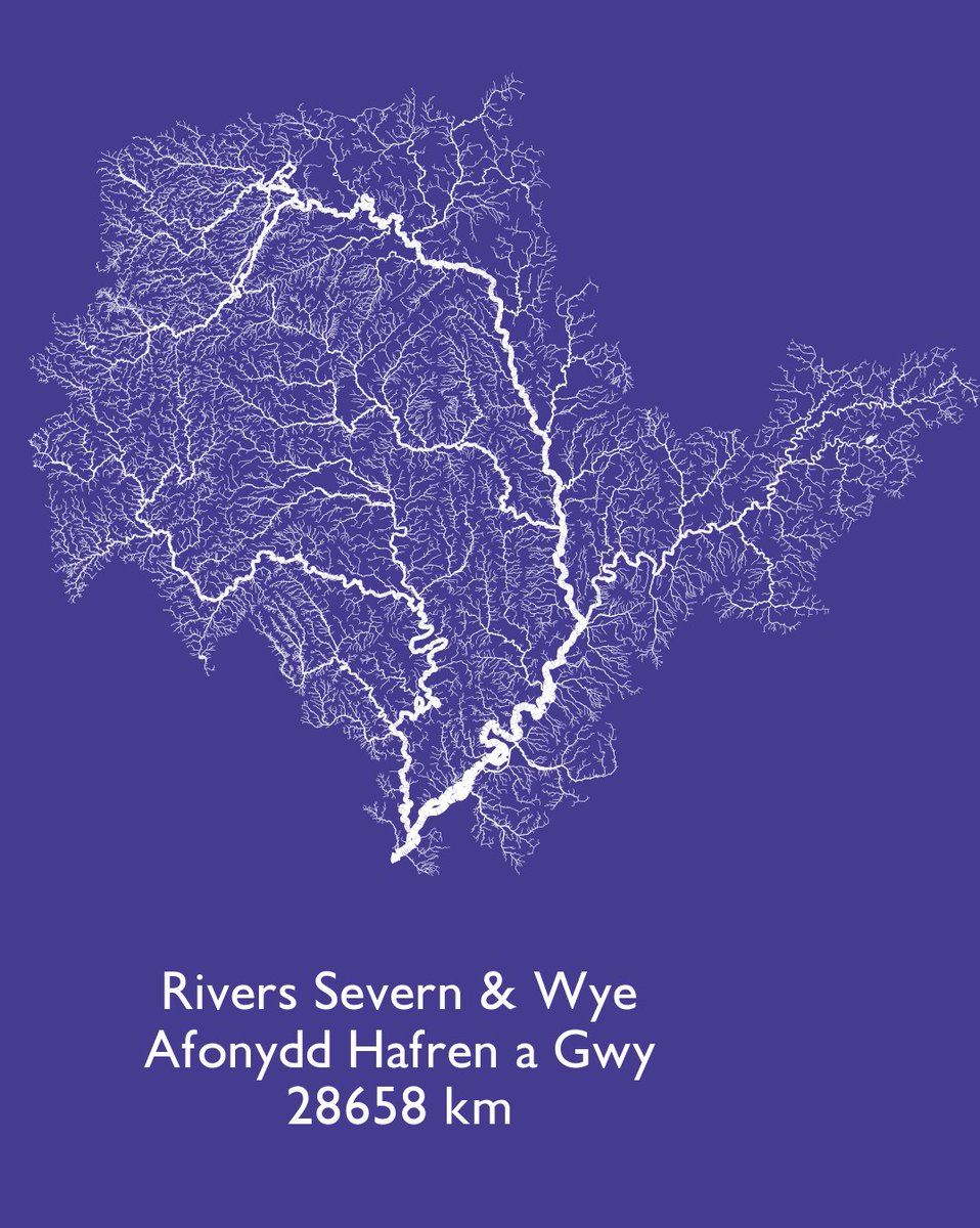 This data visualisation shows the largest river networks, as measured by the total length of all the rivers and streams that connect to each other. 

Using OS data, we're able to determine how rivers, estuaries and streams are connected to each other. 🌊 #UKRivers
