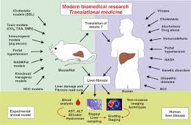 #Translational_Hepatology evaluate new treatments and ultimately accelerate all the stages of #drug development. Visit: scitechnol.com/liver-disease-… Submit Research at: scholarscentral.org/submissions/li…