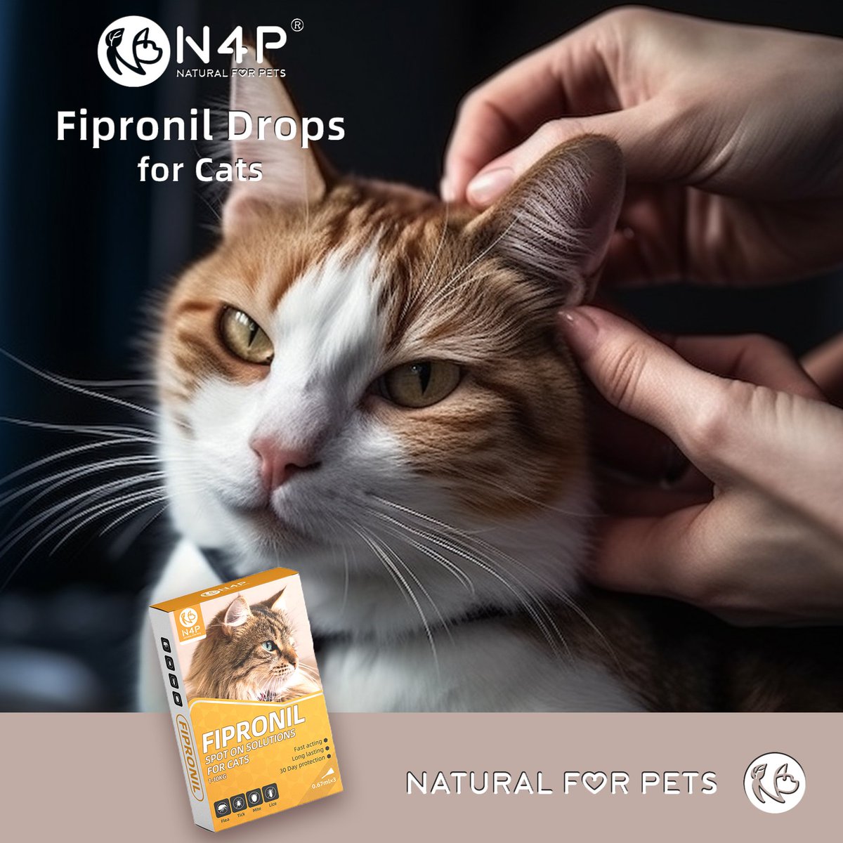 Welovepet_N4P's tweet image. Vet-approved, fast-acting and gentle - keeping kitties pest-free for months with a single dose. 😼 #fleaprotection #veterinariantested
N4P Fipronil Spot On - promoting health, happiness and cuddles for months! ❤️n4pets.com 👍 #catguardians #animalhealthproducts