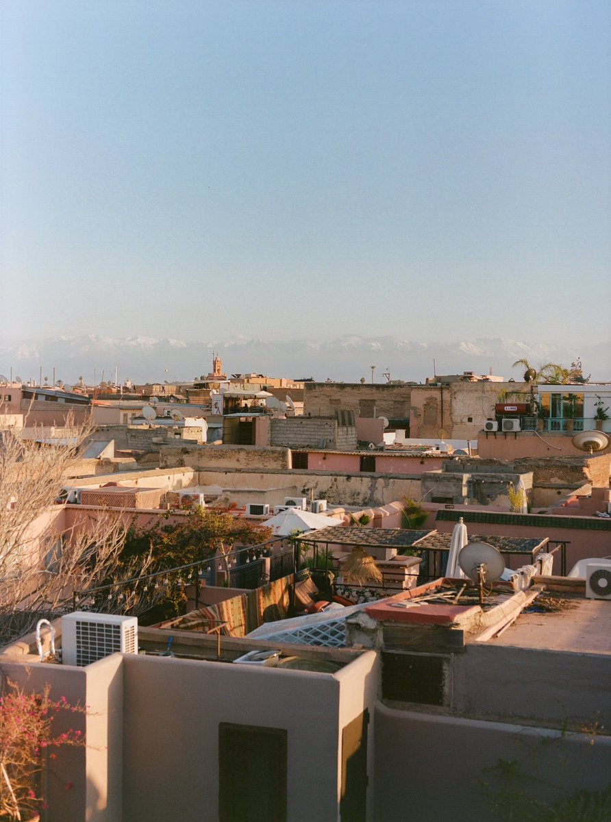 Jake Millers tweet media