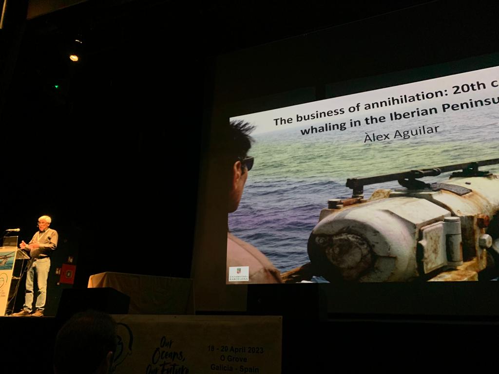 MarMegaFaunaUB's tweet image. at #ECSconference2023 @LuisCardonaPas1 explaining the effects of global warming on Antarctic fur seal population 🦭  and Alex Aguilar opening as keynote speaker the session of the third day talking on the commercial whaling in the Iberian peninsula in the XX century 🐋