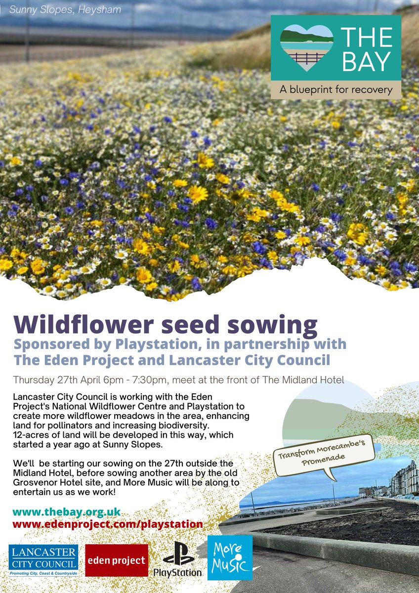 Join us on Thursday for some Wildflower seed sowing! Meet at the front of The Midland Hotel at 6pm and help us to help our coastal pollinators 🦋🐝 #morecambe #wildflowers #pollinators