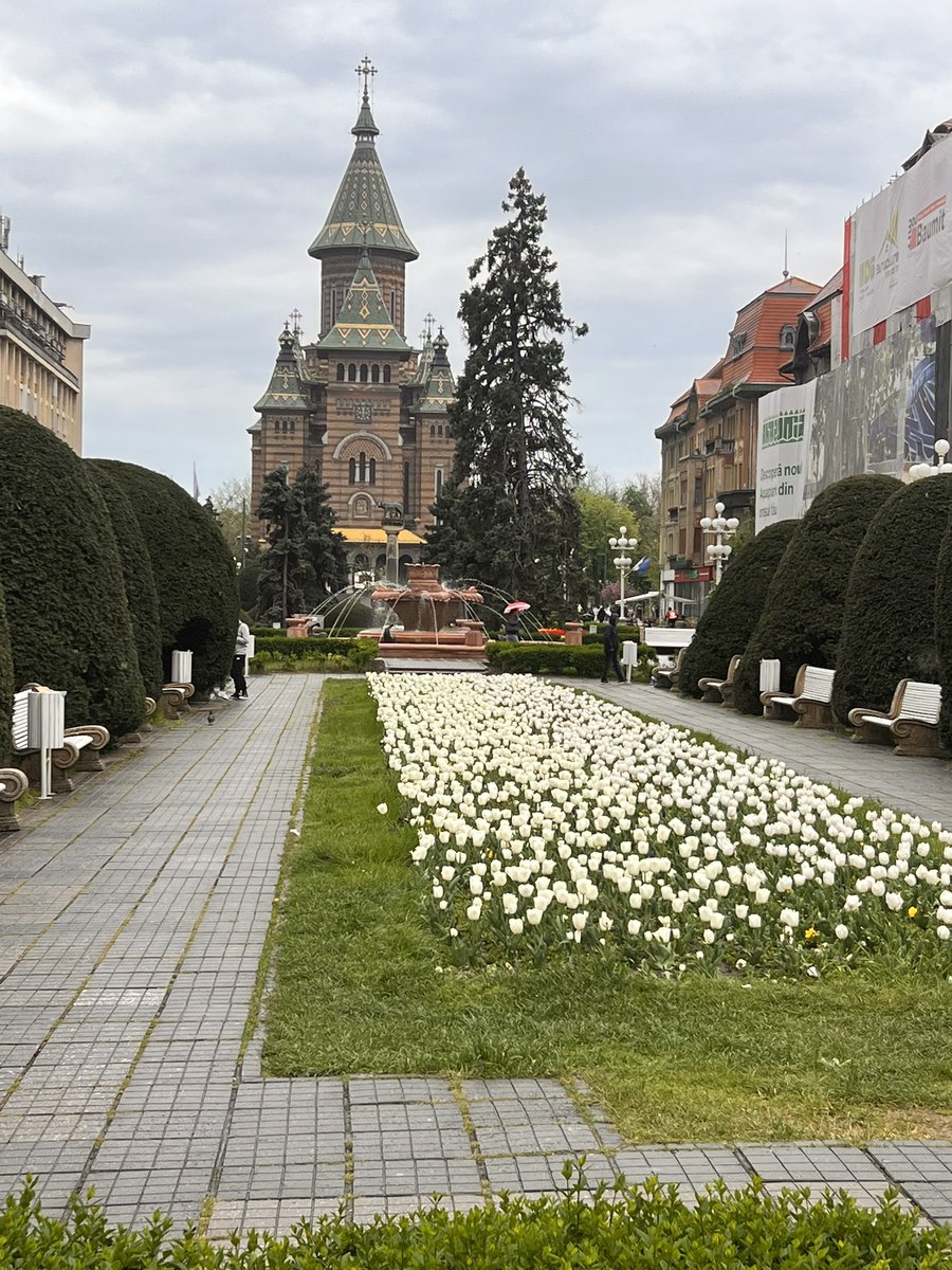 Chris Tomlinson tweet media