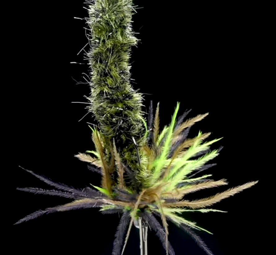 Is the worm a fly for all seasons, freshwater and saltwater? - flylifemagazine.com/is-the-worm-a-…