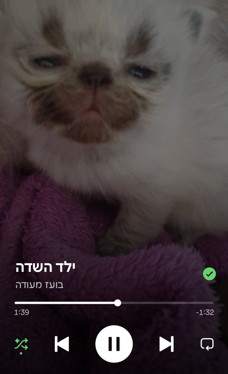 noamwitho's tweet photo. מי שם את התמונה הזאת על ילד השדה לעזאזל? https://t.co/eHpeH7kAhG