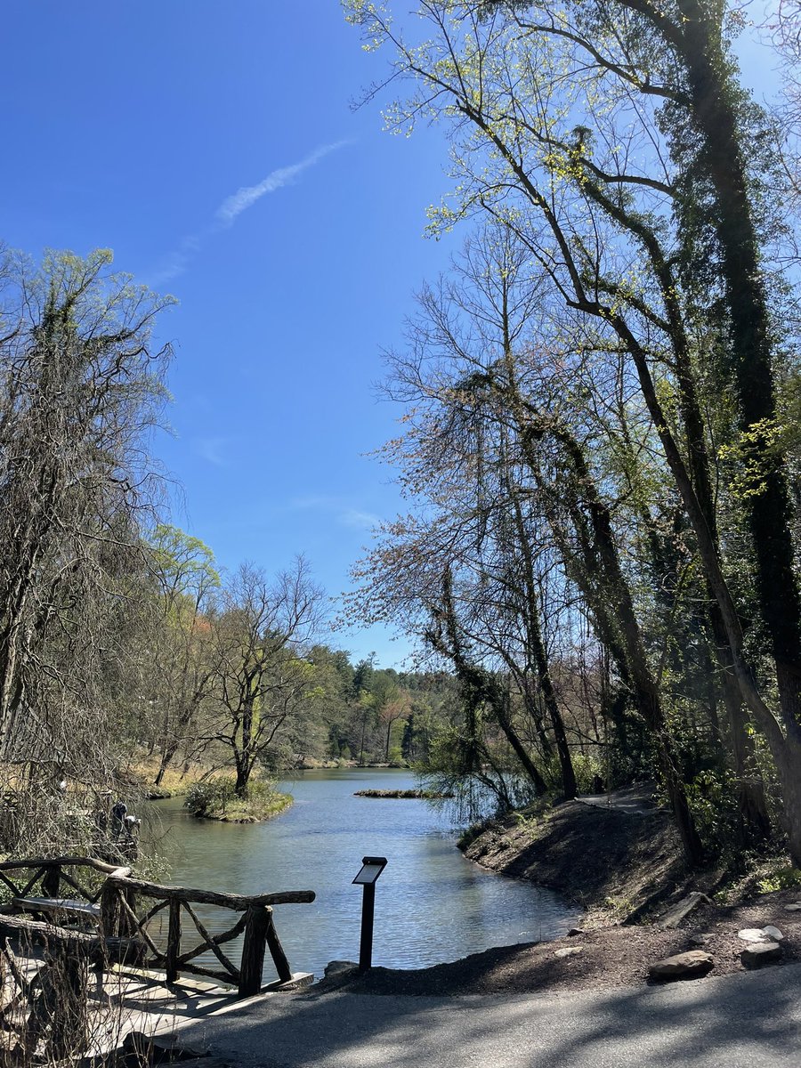 People don’t buy what you do, they buy why you do it. -Simon Sinek #MondayMotivation #quoteoftheday