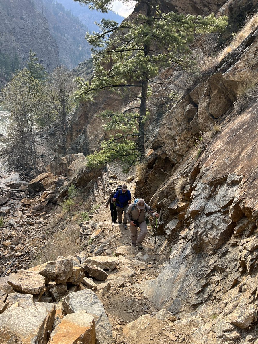 rinzinplama's tweet photo. Field time is all about on foot in the remote Nepal #humla . Don’t be surprised, if I say we walk 30+ Km per day even in such rugged terrains
#mudandbootbiology #remotenepal #snowleopardwhisperer #fieldwork https://t.co/pKd3QKXBRM
