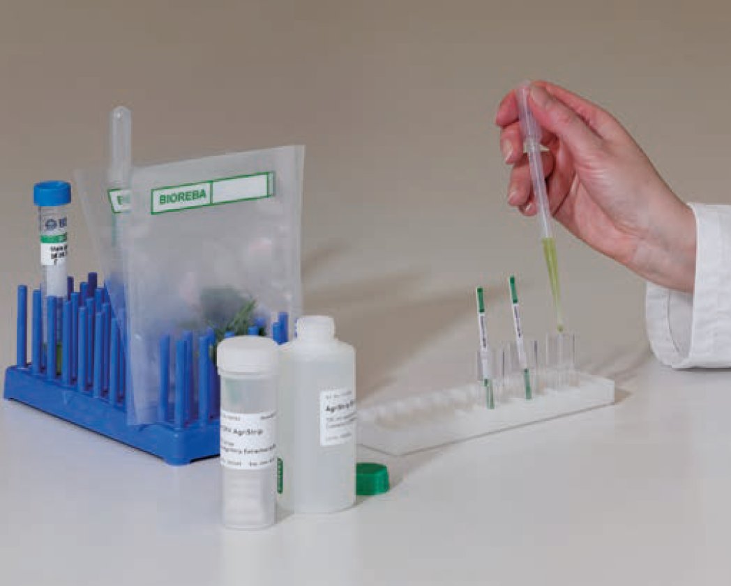 Developed and produced by Bioreba AG, the #AgriStrip is the rapid one-step assay for the detection of plant pathogens.
✅#FAST
✅#RELIABLE
✅#EASYTOUSE
✅#COSTEFFECTIVE

#bioreba #plantscience #planttissueculture #labretoria #laboratory  #labequipment #agrodiagnostics