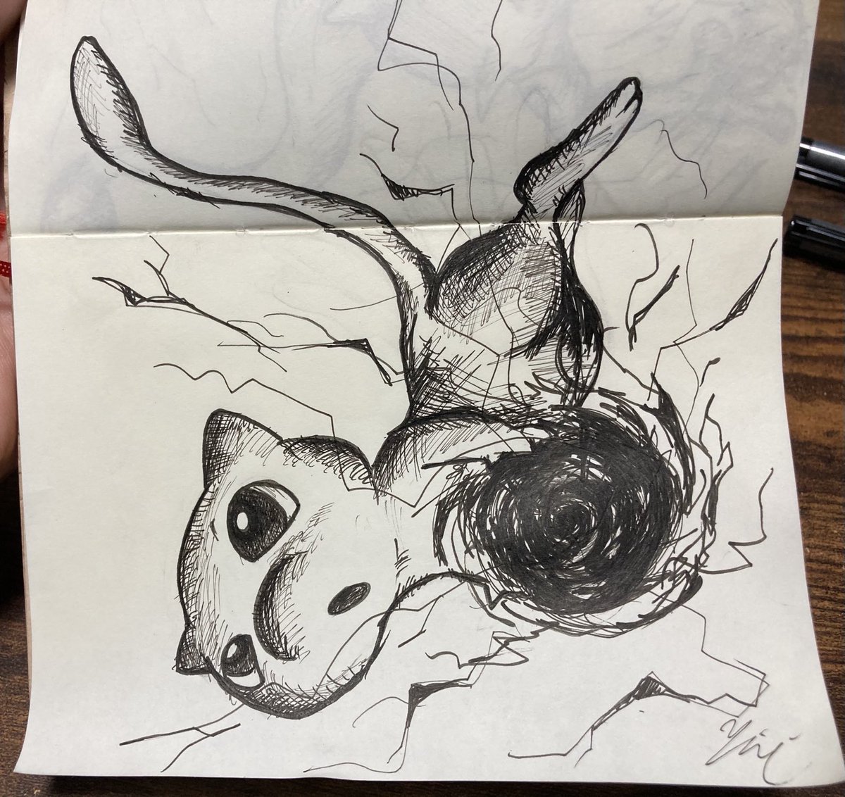 2020.10
Twitterで絵を載せ始めた当初はポケモンをペン画で描いてました 
