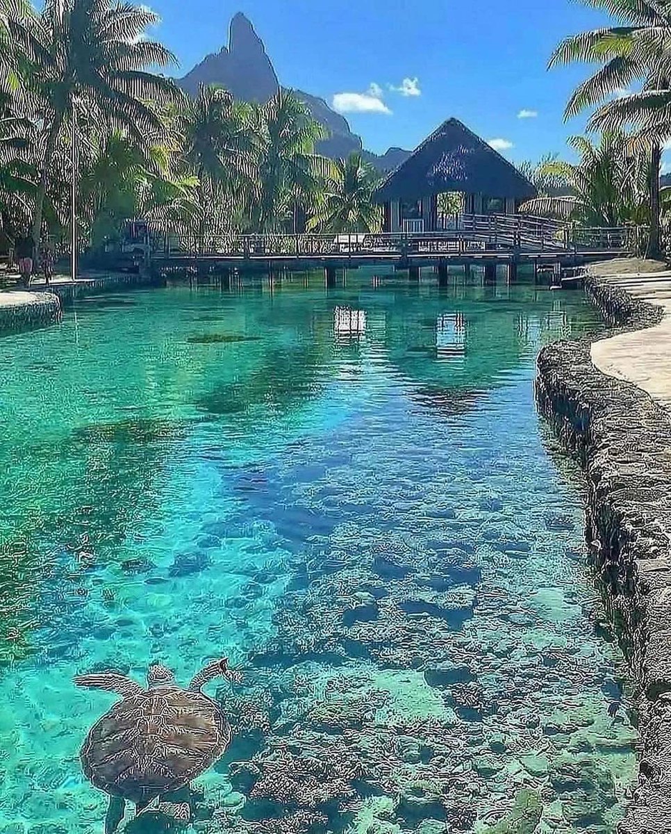 Mentally I wanna be here.