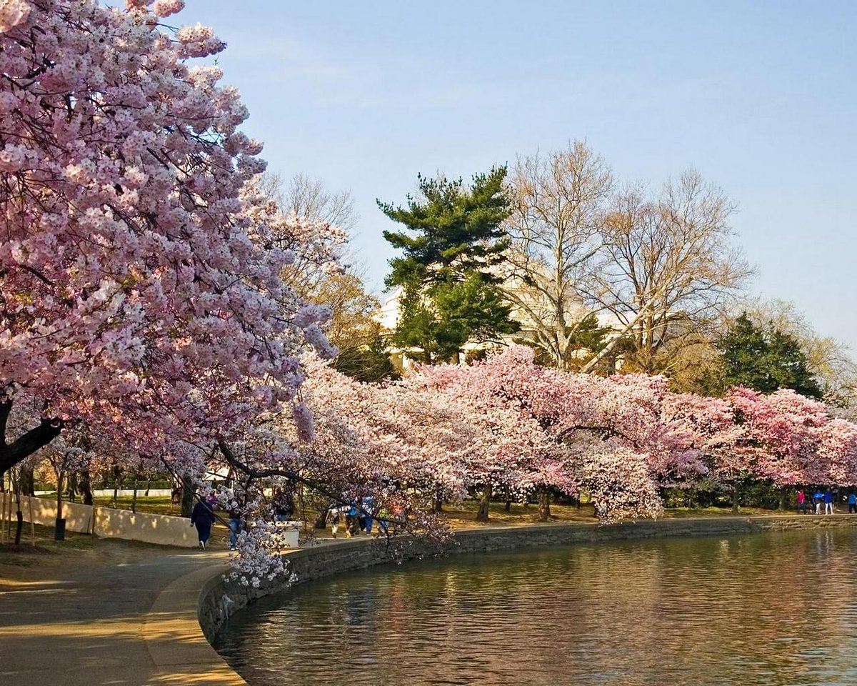 Bambi Bagshaw (@bagshawbambi) on Twitter photo 