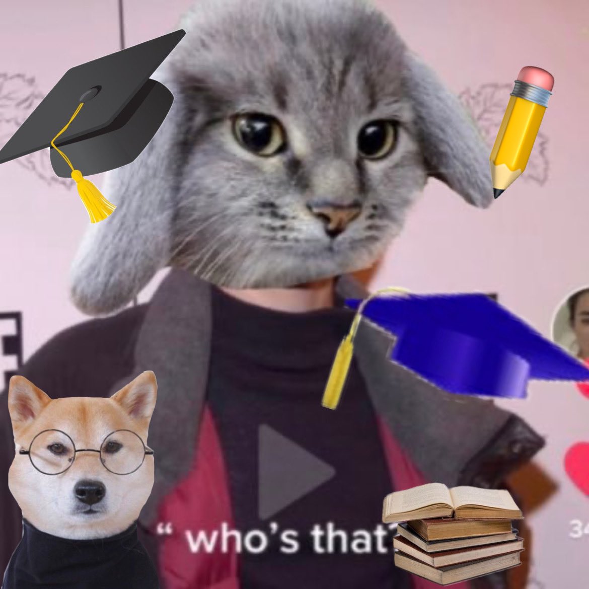 bigspookyboy's tweet image. Got accepted 
#scholar #forrealthistime