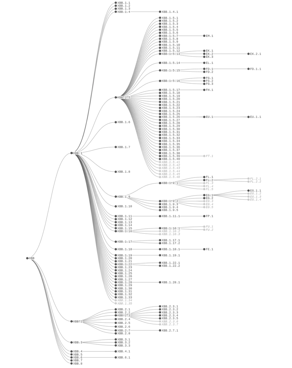 CiscoRucinski's tweet photo. #SARSCoV2 #PhylogeneticTree for XBB
- First picture shows recently added variants.
- Second picture shows variants recognized by #NextClade
LINK: https://t.co/N4n63umME4 https://t.co/1hRiaEK2xp