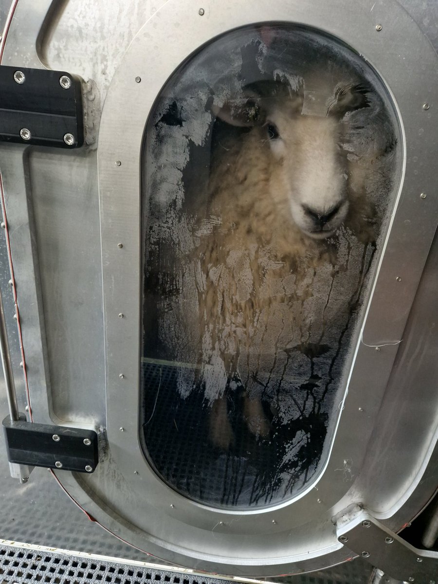 Rob Hodgkins tweet media