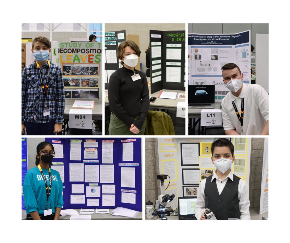 Halton Catholic DSB tweet media