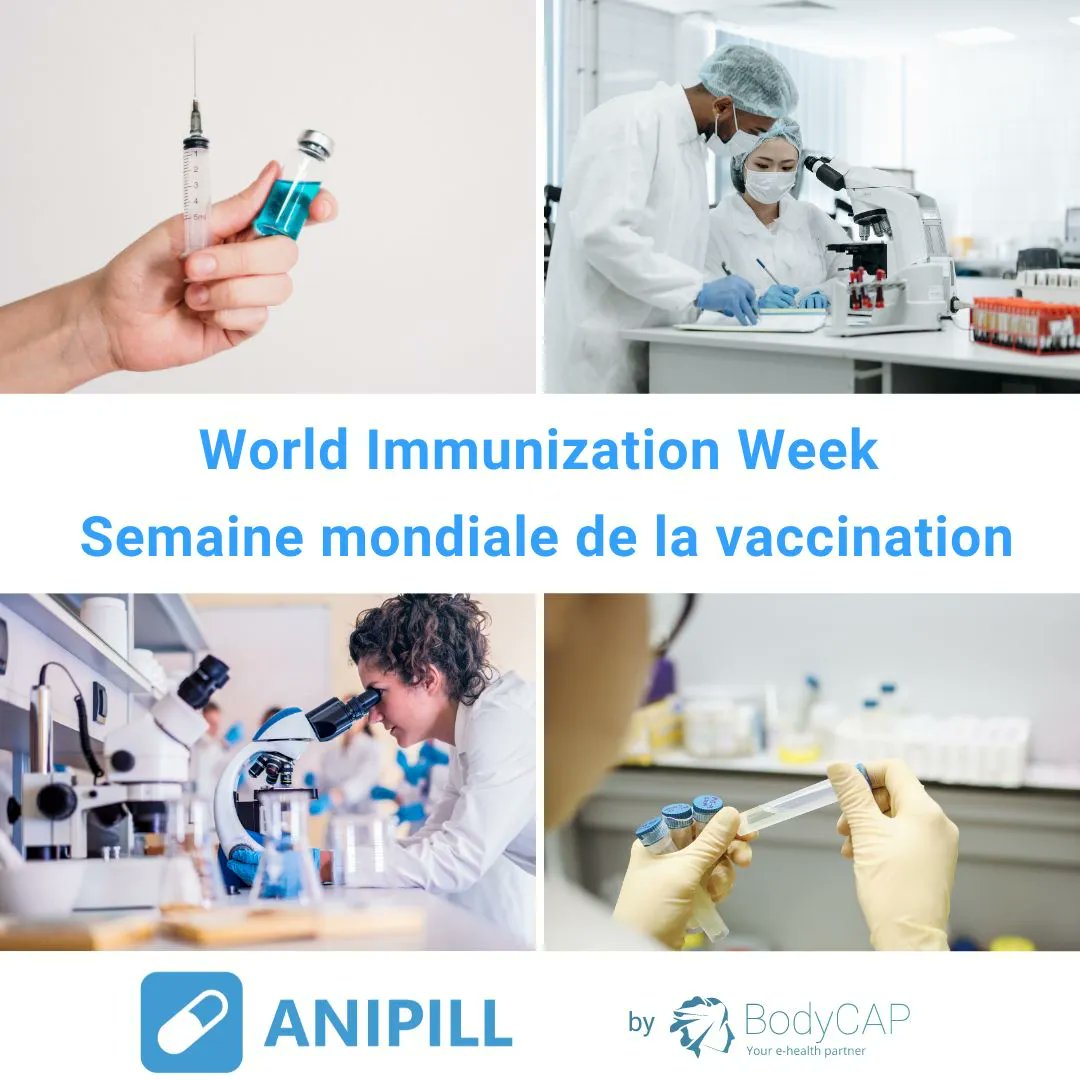 Anipill 💊 tweet media