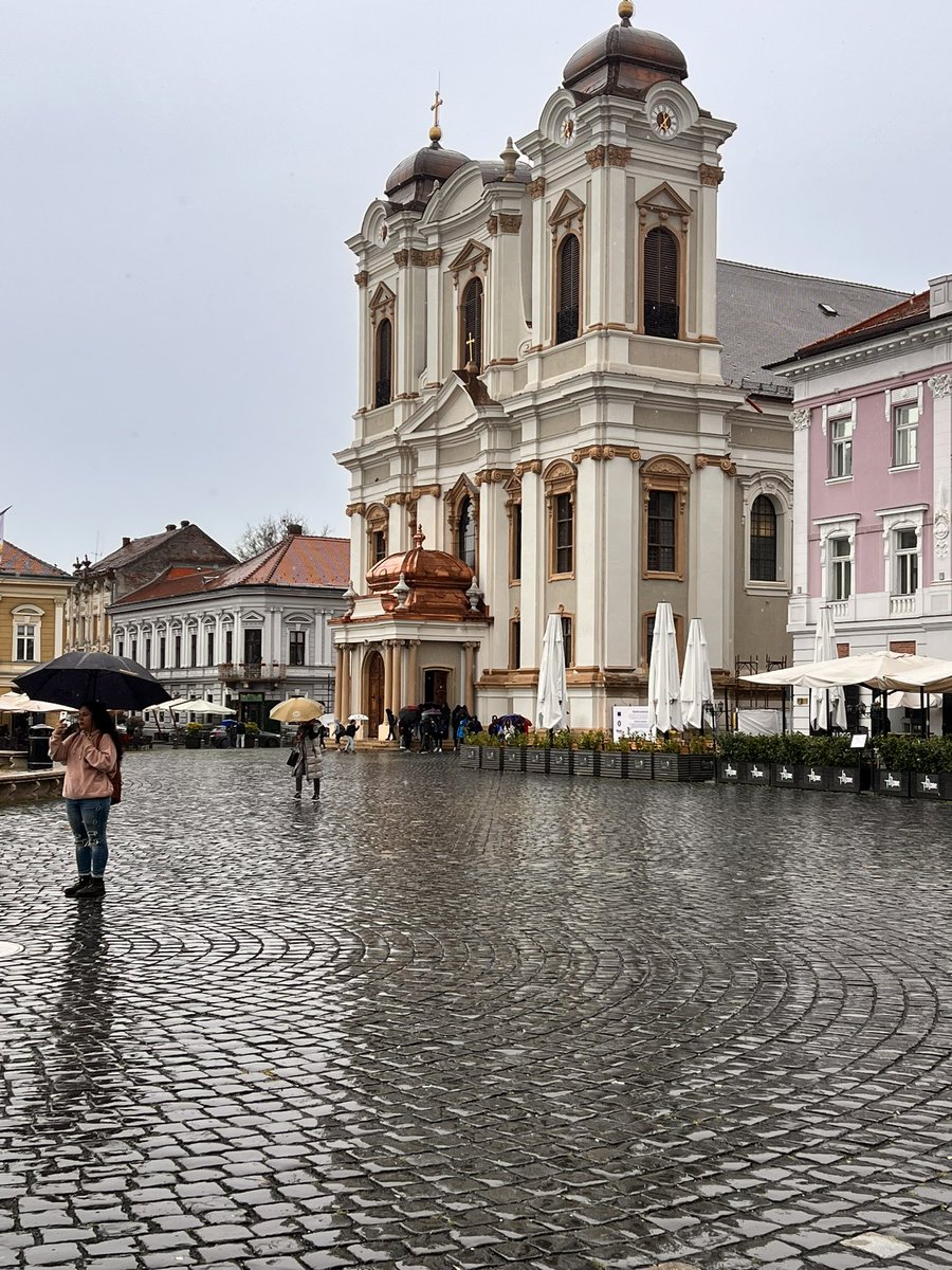 Chris Tomlinson tweet media