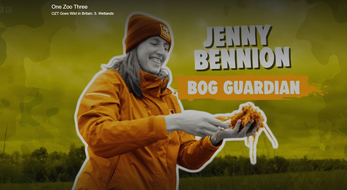 bennion_jenny's tweet photo. BOG GUARDIAN! They called me a Bog Guardian! I'm beside myself💚

I'm on CBBC's OZT Goes Wild doing some moss chucking, other boggy stuff, and generally looking a bit silly (what's new)

Check it out (13-17 mins) 👇🏽
https://t.co/3fr6MPRCHW https://t.co/rIxwljPO5v