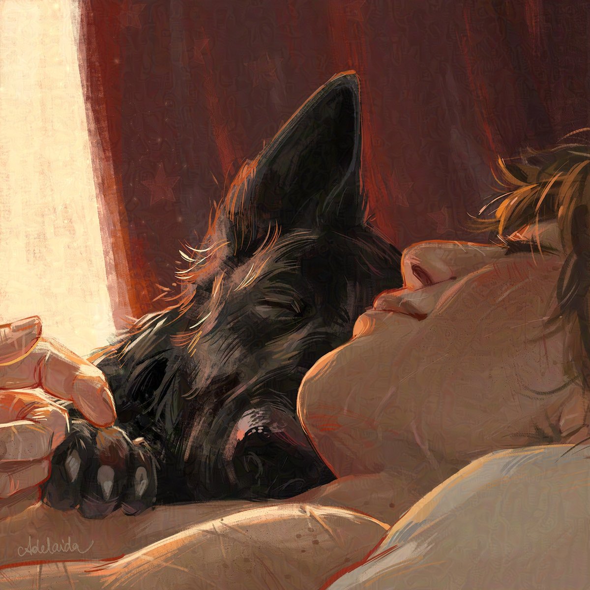 Nap buddies 🐶🌙
 
#wolfstar #padfoot #remuslupin