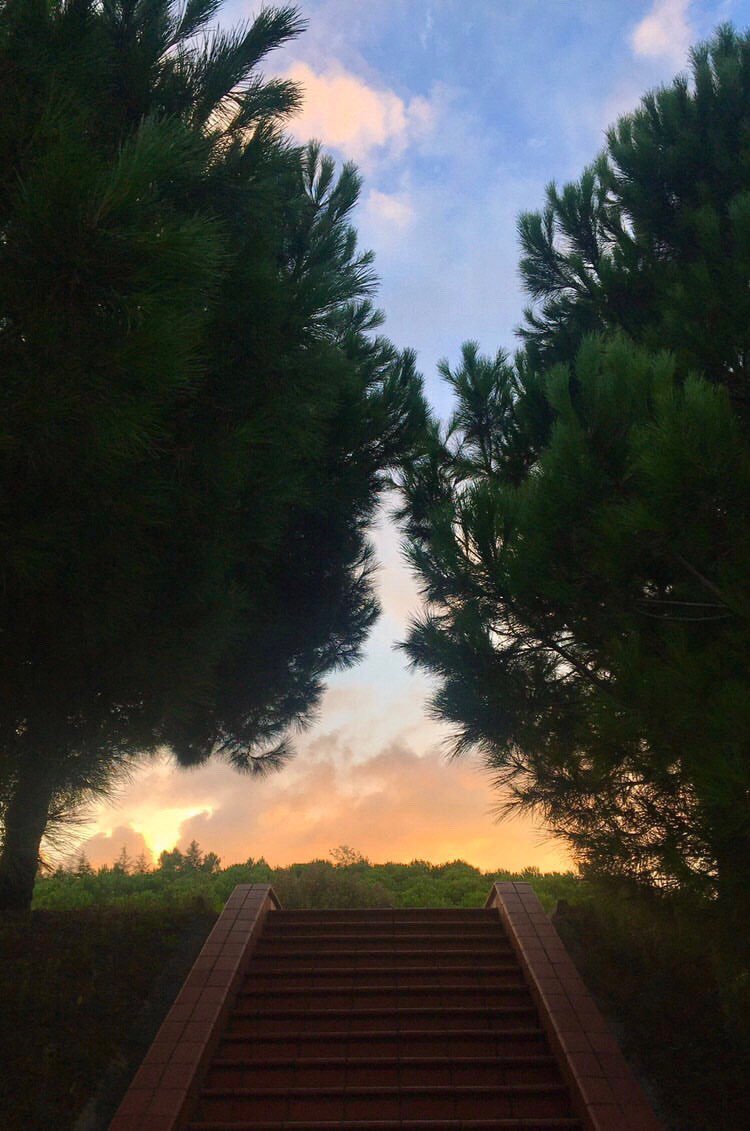 𝙆𝙖𝙢𝙥𝙪̈𝙨 𝙈𝙖𝙣𝙯𝙖𝙧𝙖𝙨ı..

#Kampüs 
#yokböylekampüs 
#MauKonseyi
#MaltepeÜniversitesi