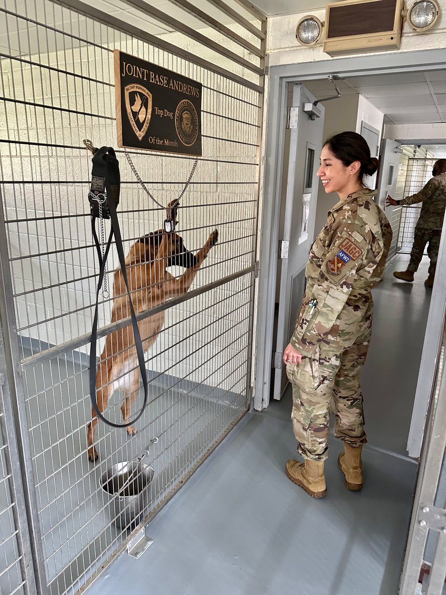 The Air Force Judge Advocate General's Corps tweet media