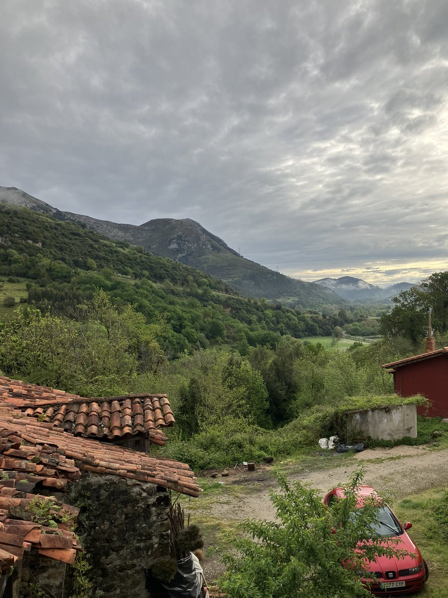 Helen Sheppard tweet media